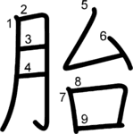 kanji stroke order for 胎