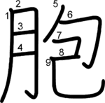 kanji stroke order for 胞